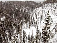 Park Narodowy Oulanka